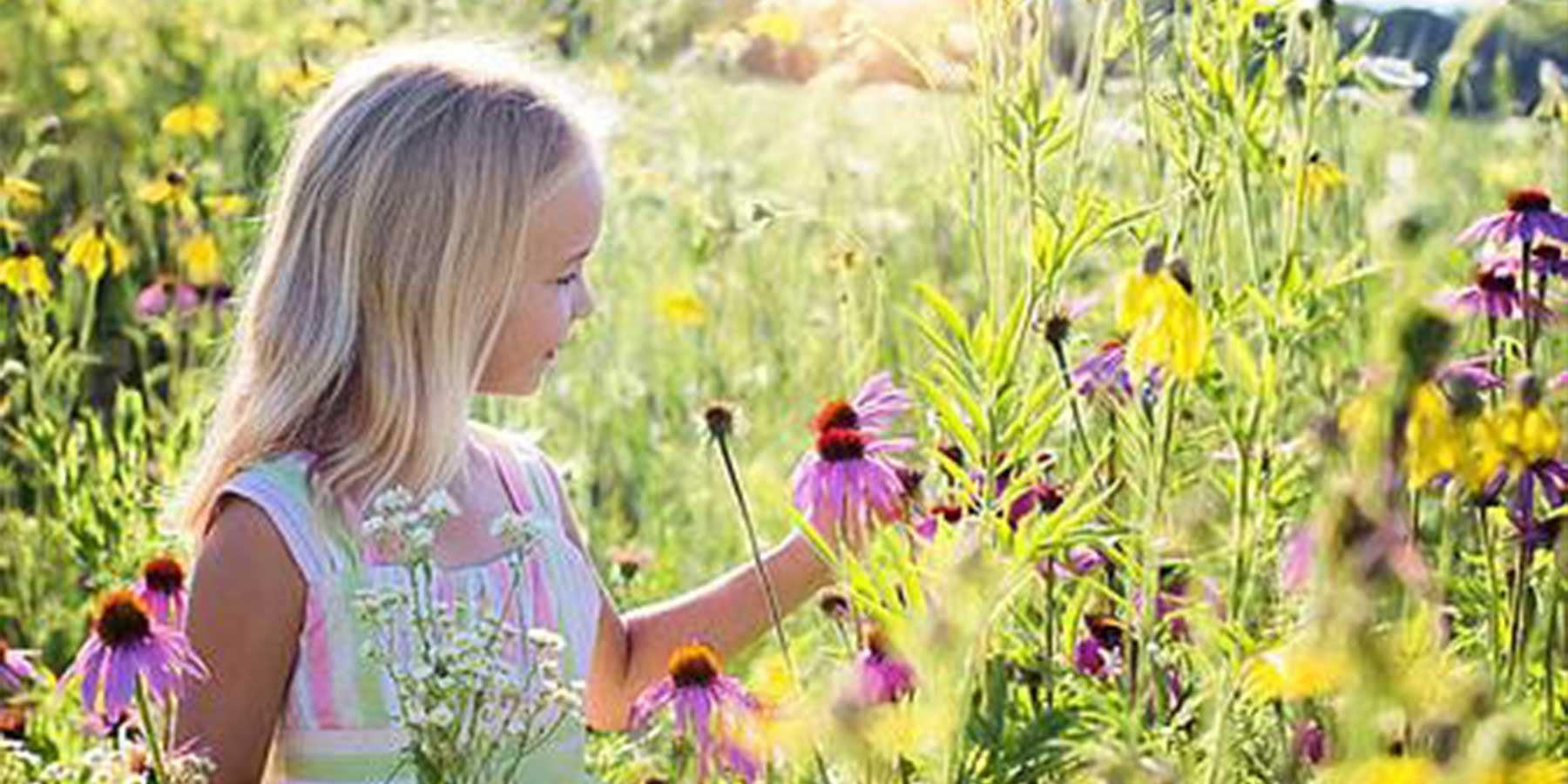 Solar Powered Playtime – Sunny STEM Toys & Activities at Legacy Toys