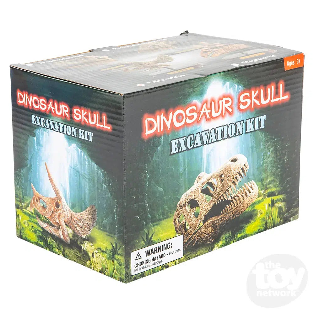 The Toy Network-6.5" Dinosaur Skull Excavation Dig Kit Triceratops-AM-EXDTR-Legacy Toys
