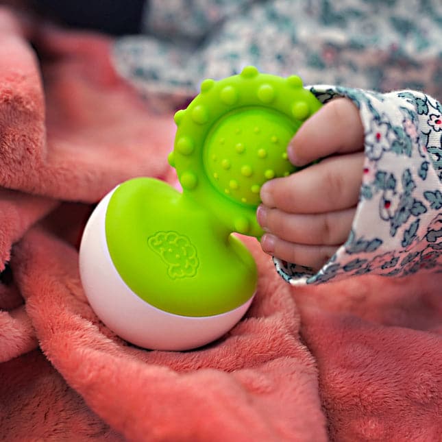 Fat Brain Toys-Dimpl Wobbl--Legacy Toys