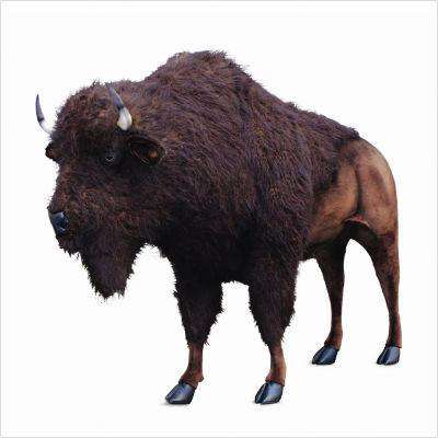 Hansa-Hansa Plush Buffalo Lifesize 96''L x 72"H-4883-Legacy Toys