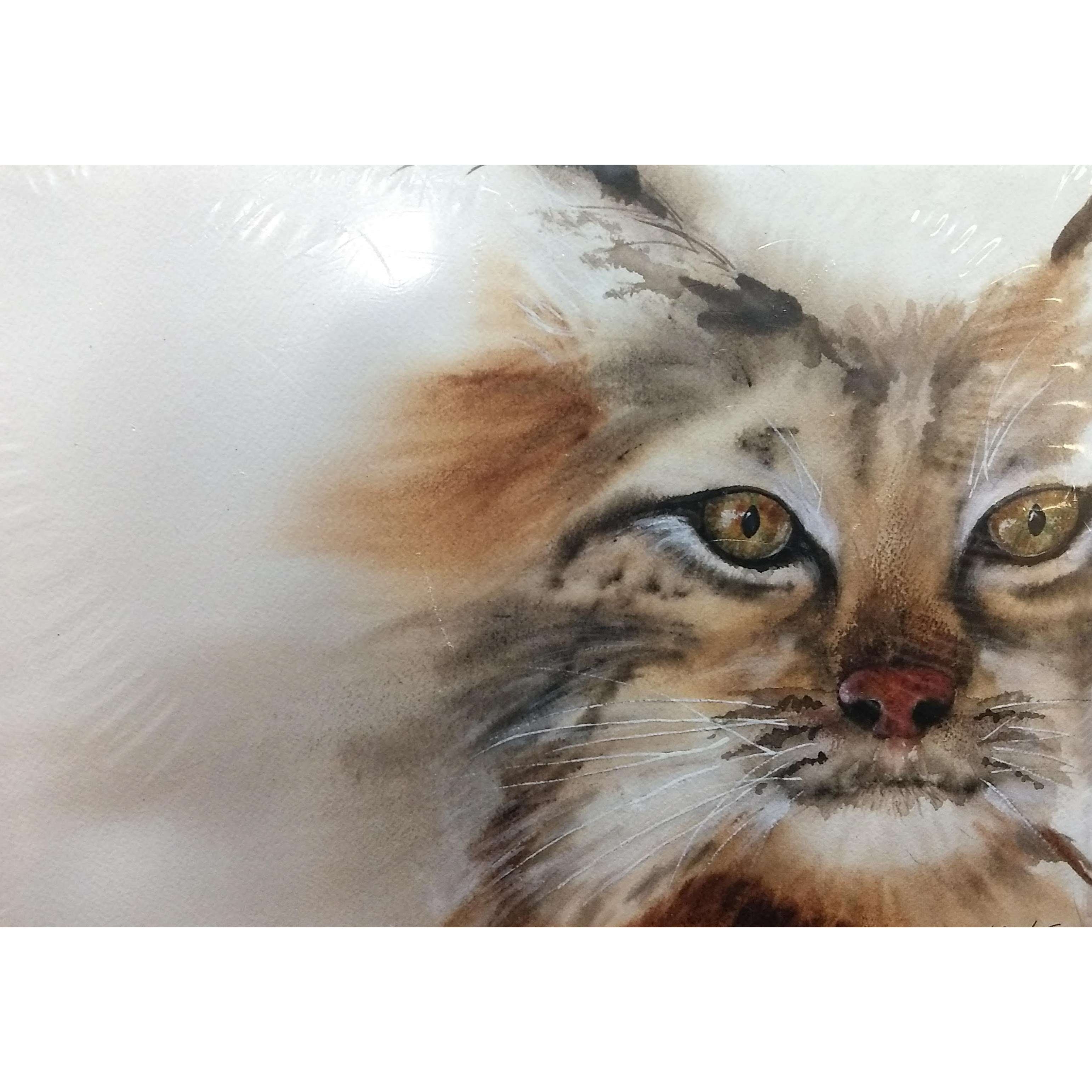 Legacy Bound-Ely Minnesota Artists Notecard Pack-LB10408-Legacy Toys