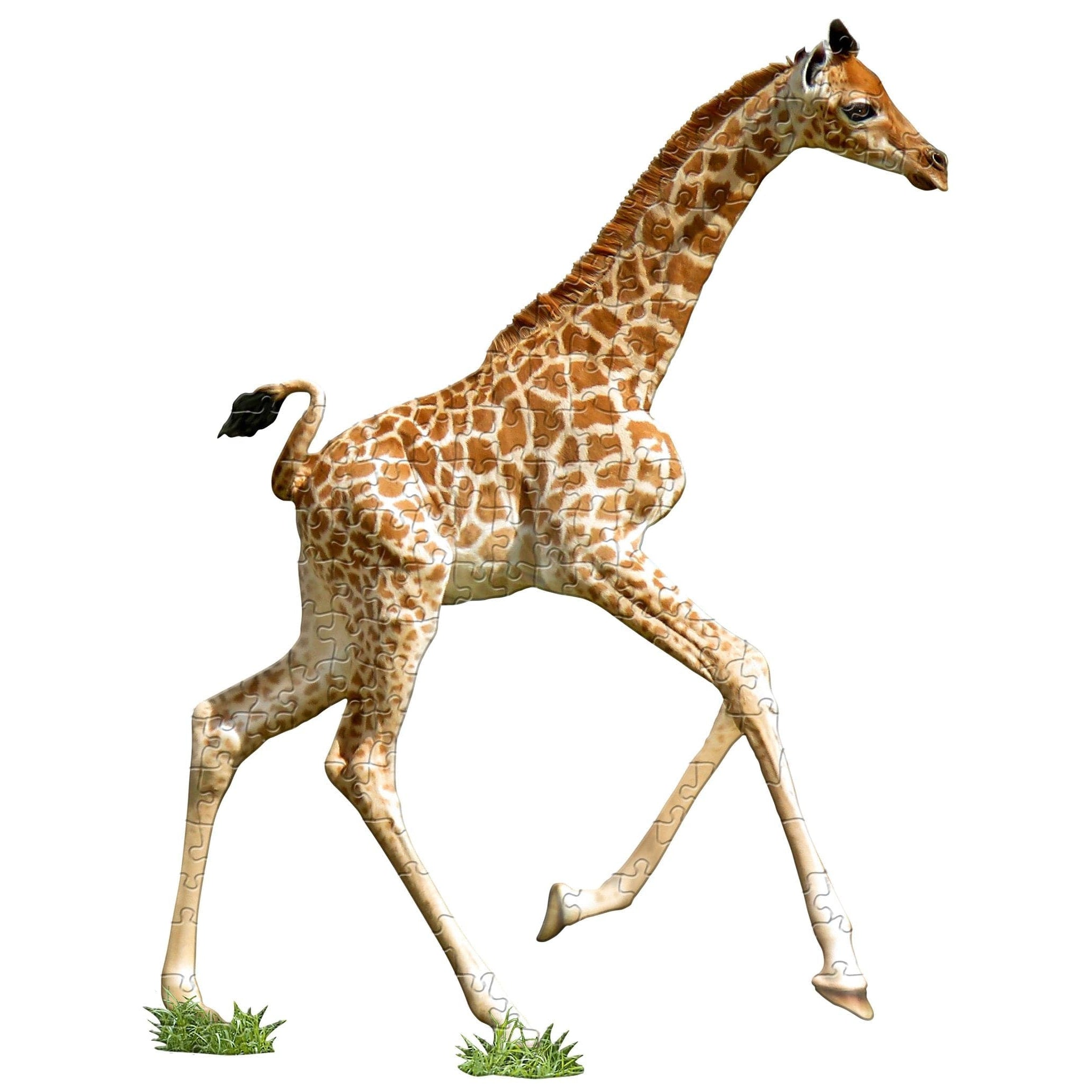 Madd Capp Games-I am Lil' Giraffe - 100 Piece Puzzle-4002-IAMLGiraffe-Legacy Toys