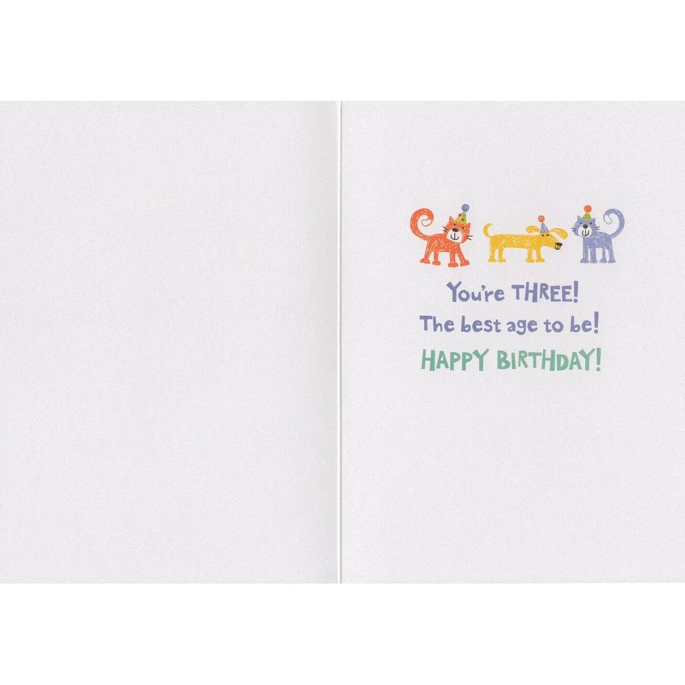 Peaceable Kingdom-Age 3 Pattern Foil Card-5182G-Legacy Toys