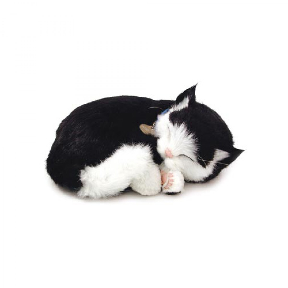 Perfect Petzzz-Perfect Petzzz Black & White Shorthair Kitten-XP92-06-Legacy Toys