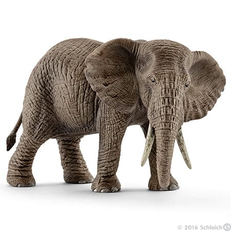 Schleich-African Elephant, Female 2024-14761-Legacy Toys