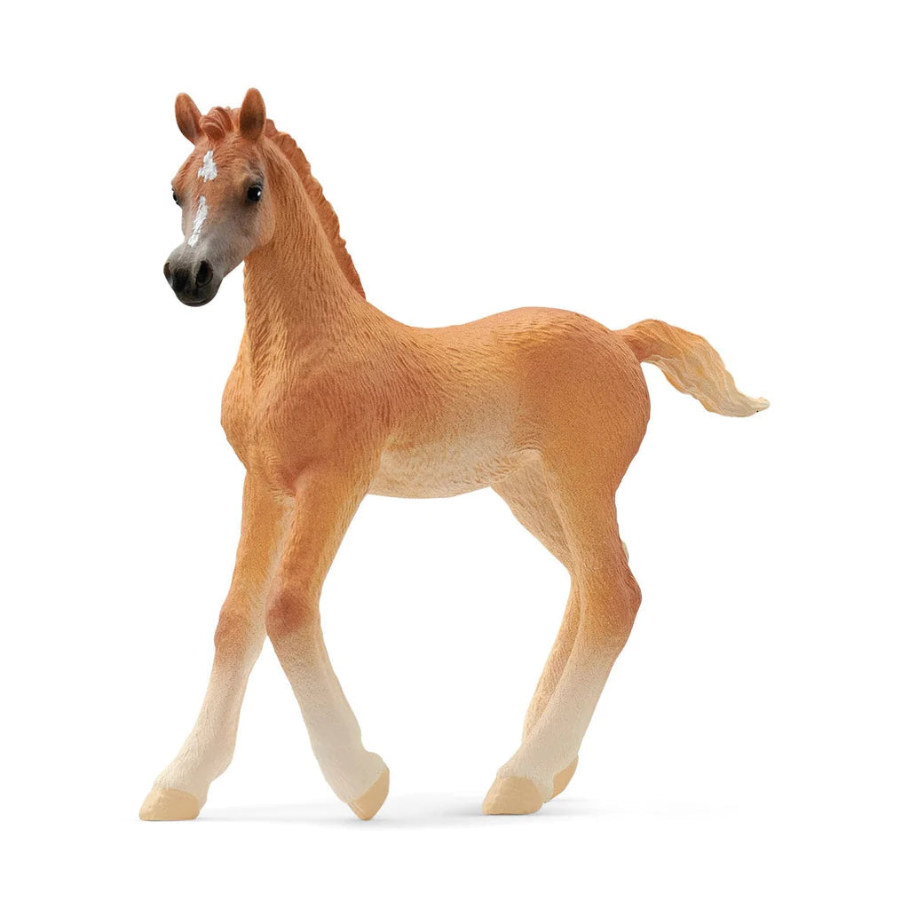 Schleich-Arabian Foal-13984-Legacy Toys