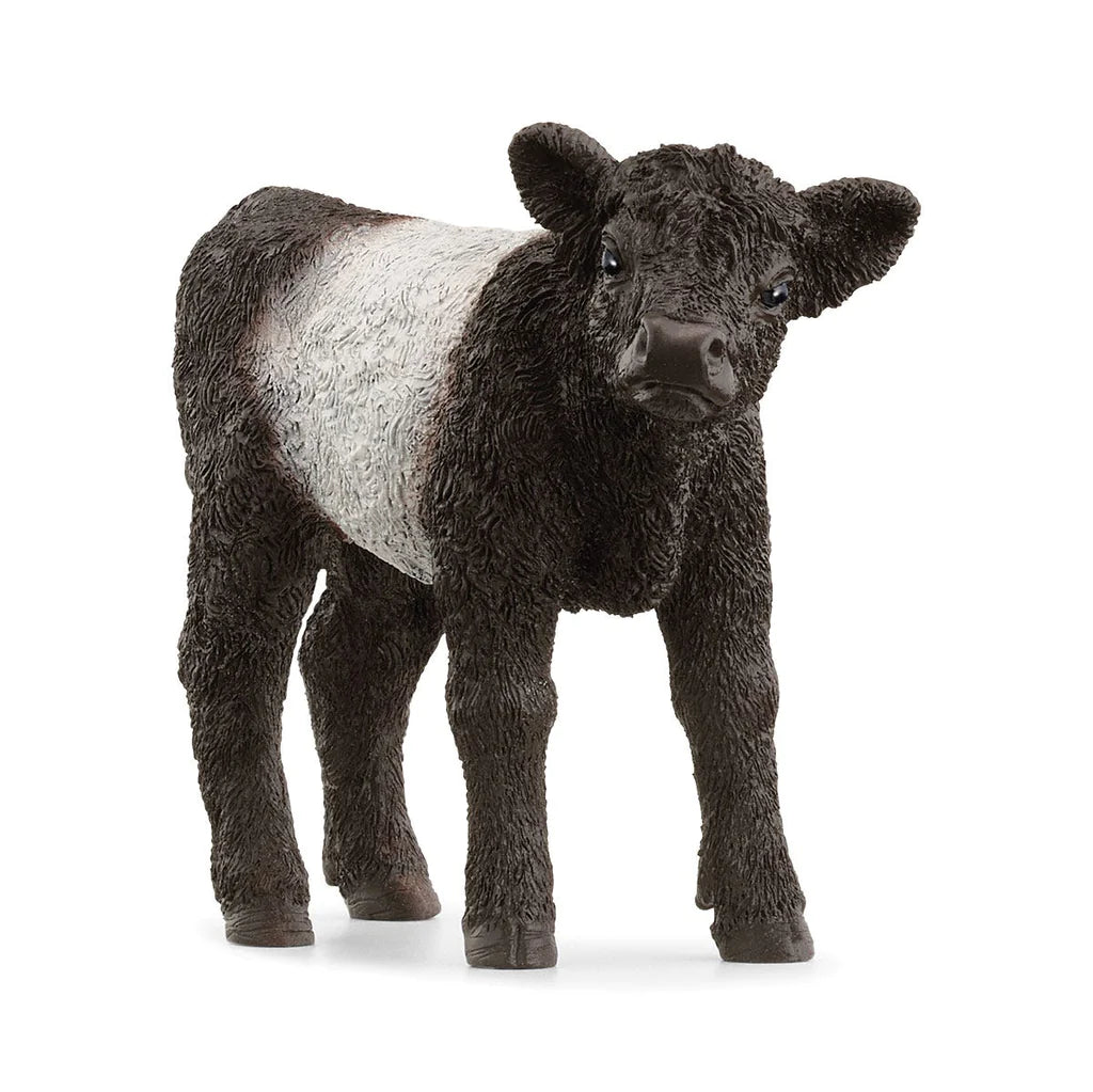 Schleich-Galloway Calf-13969-Legacy Toys