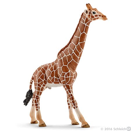 Schleich-Giraffe, Male-14749-Legacy Toys