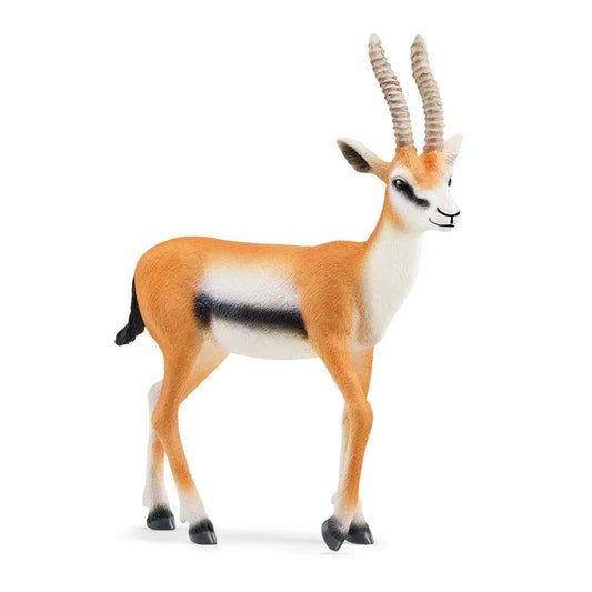 Schleich-Thomson Gazelle-14861-Legacy Toys