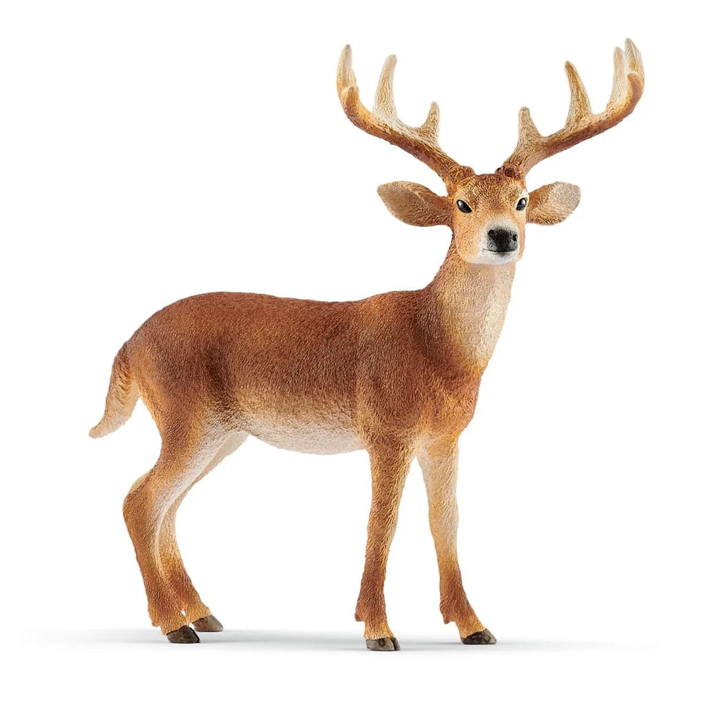 Schleich-White-Tailed Buck-14818-Legacy Toys