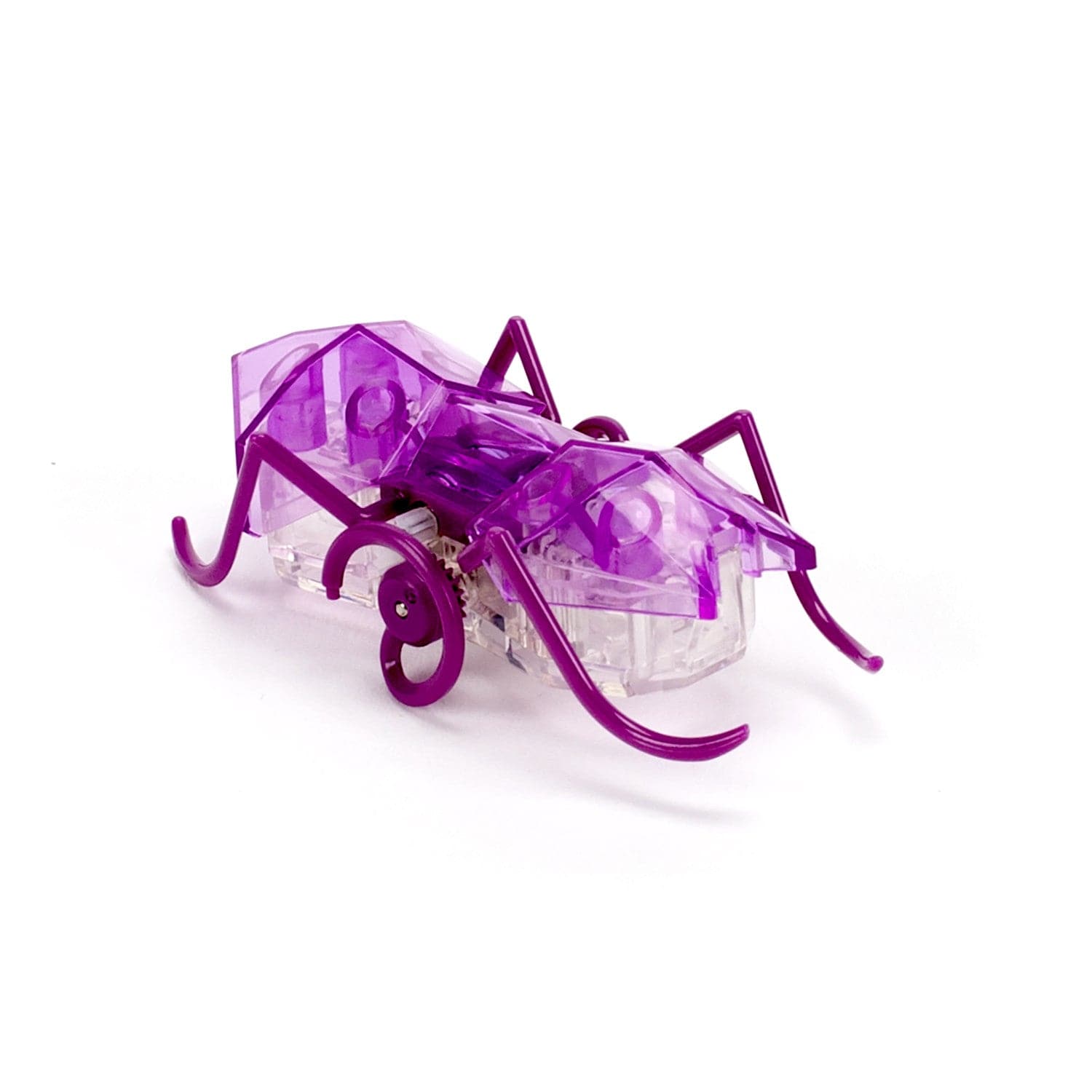 Spin Master-Hexbug Micro Ant Assorted Colors-409-6389-Legacy Toys