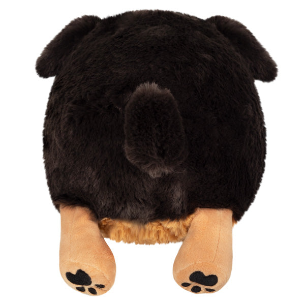 Squishable-Mini Squishable Fluffy Dachshund - 13"-125283-Legacy Toys