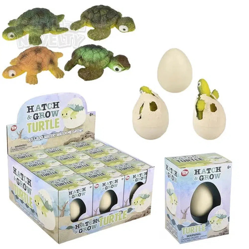 The Toy Network-Small Hatch And Grow Turtle Egg-PA-GRSTU-Box of 12-Legacy Toys