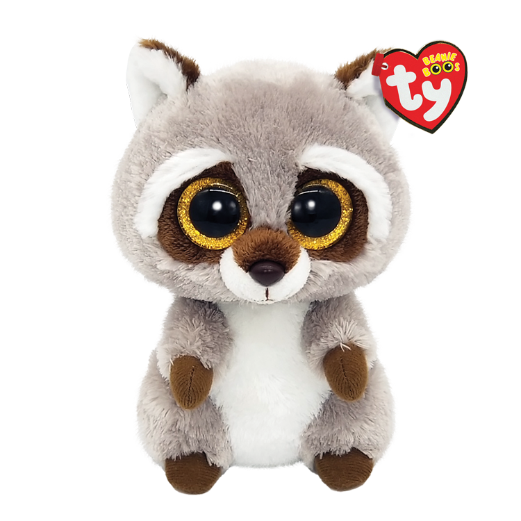 TY-Beanie Boo's - Oakie the Raccoon-36375-6" Small-Legacy Toys